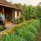 8 Tanaman yang Bisa Menghalangi Ular Masuk Rumah, Plus Tips Mencegahnya