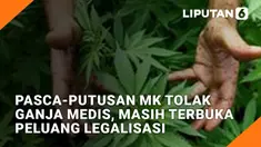 Pasca-Putusan MK Tolak Ganja Medis, Masih Terbuka Peluang Legalisasi?