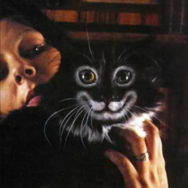 Why Paint Cats