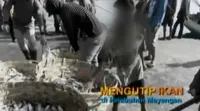 Sejumlah bocah dengan lincah mengutip ikan para nelayan di Pelabuhan Mayangan, Probolinggo, Jawa Timur.
