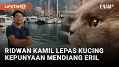 Gubernur Jawa Barat, Ridwan Kamil melepas kucing kesayangan mendiang putranya, Emmeril Kahn Mumtadz untuk dititipkan ke rumah penitipan dan dikawinkan dengan kucing dari ras sejenis.