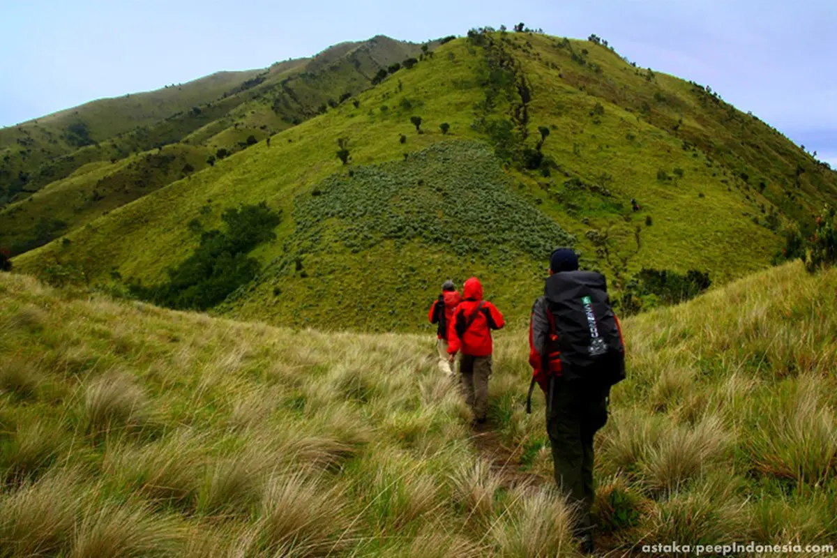 Gunung Merbabu