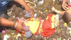 Selain mendapat keberuntungan, para umat Hindu di India percaya bahwa kesucian kotoran sapi membuat anaknya lebih sehat.