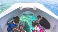 Glass Bottom Boat & Pulau Penyu