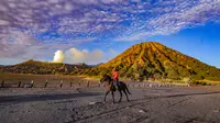 Gunung Bromo Ditutup 6–12 April 2026, Fokus Pemulihan Ekosistem Usai Lonjakan Wisatawan