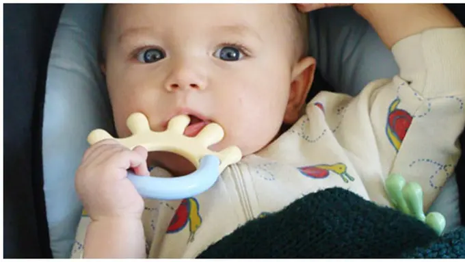 Foto: copyright inhabitots.com