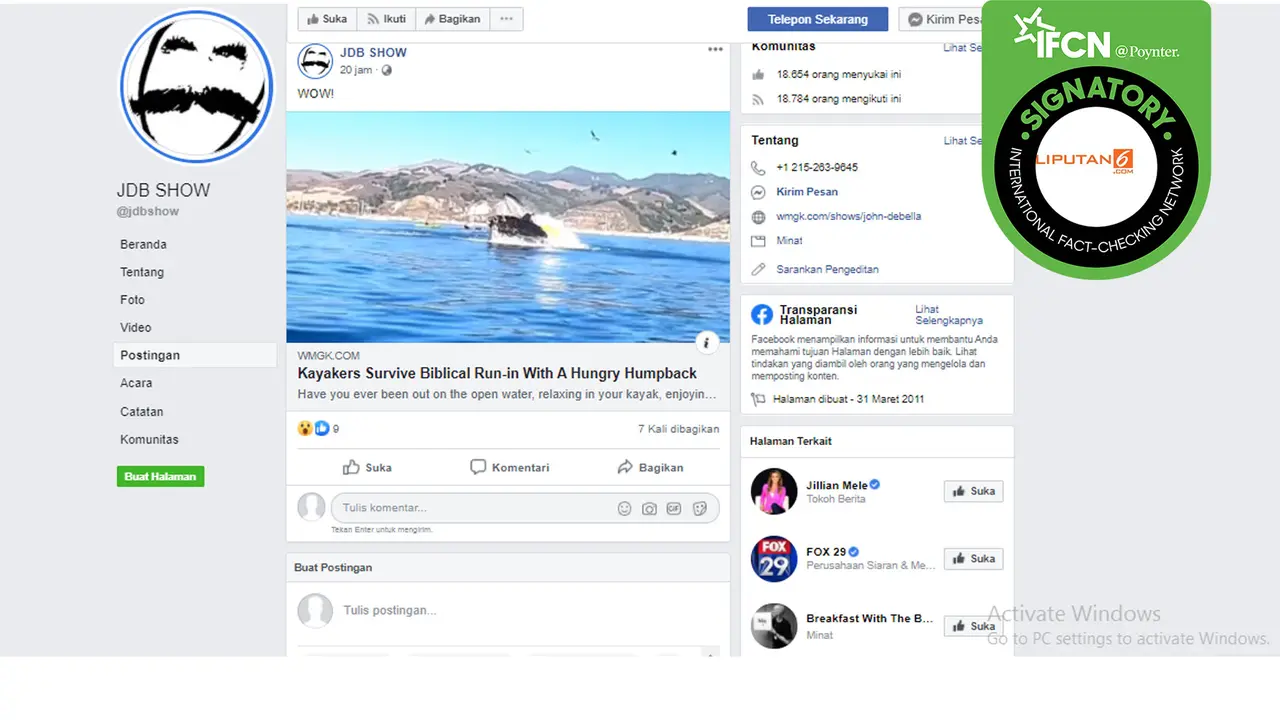 Hoaks paus bungkuk makan kayak.
