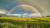 Inspirational and funny rainbow quotes. (Photo: James Wheeler/Pexels)