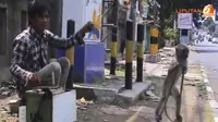 [VIDEO] Dilarang di Jakarta, Topeng Monyet Hijrah ke Daerah