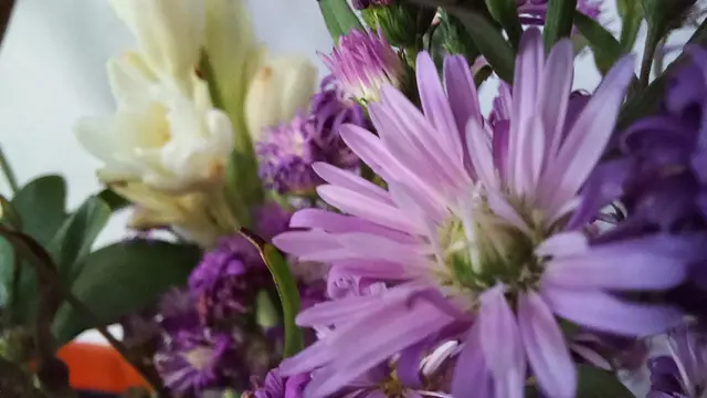 Hasil foto dengan kamera makro di dalam ruangan dengan Samsung Galaxy M22 (Liputan6.com/Giovani Dio Prasasti)