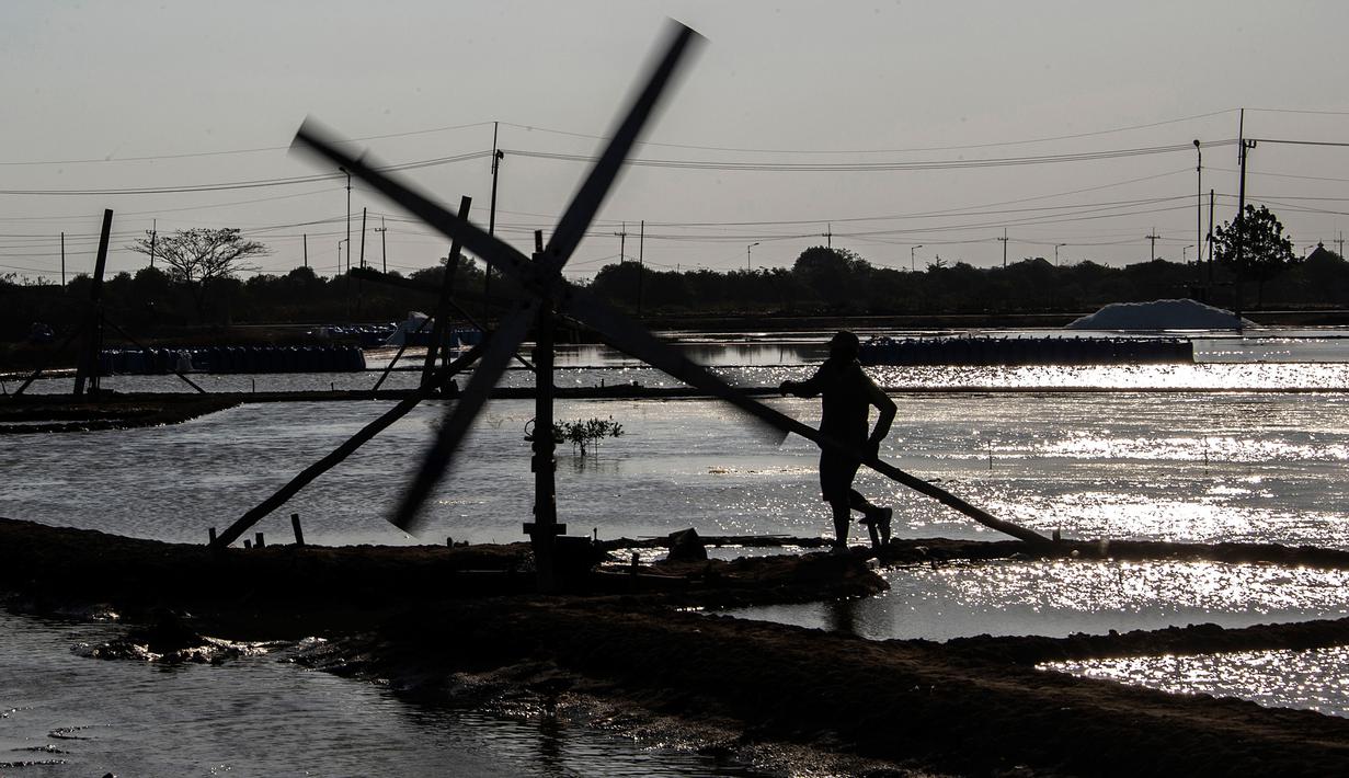 Petani memanen garam di Sidoarjo, Jawa Timur, 16 September 2019. Menurut petani, meningkatnya produksi garam saat musim kemarau dari lima ton menjadi delapan ton per minggu, mengakibatkan harga garam di tingkat petani tradisional untuk kualitas nomor satu menurun. (Juni Kriswanto/AFP)