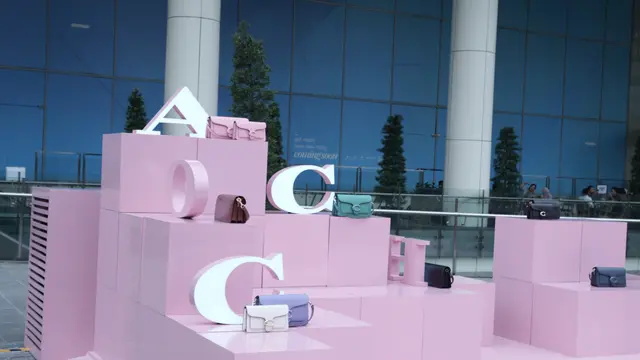 The Coach Tabby Tour