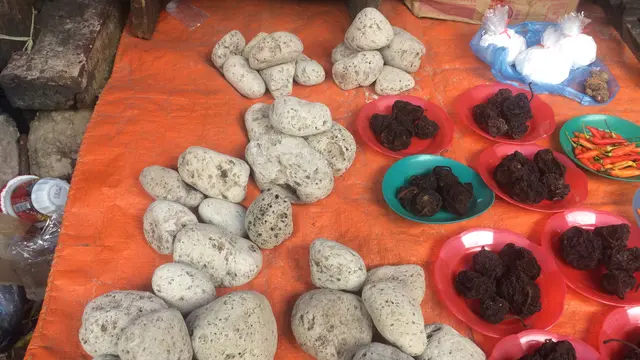 3 Barang yang Tak Laku Dijual di Ambon tapi Berharga Mahal di Aru