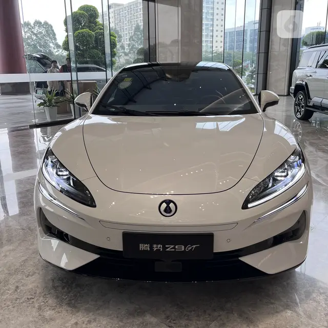 Denza Z9