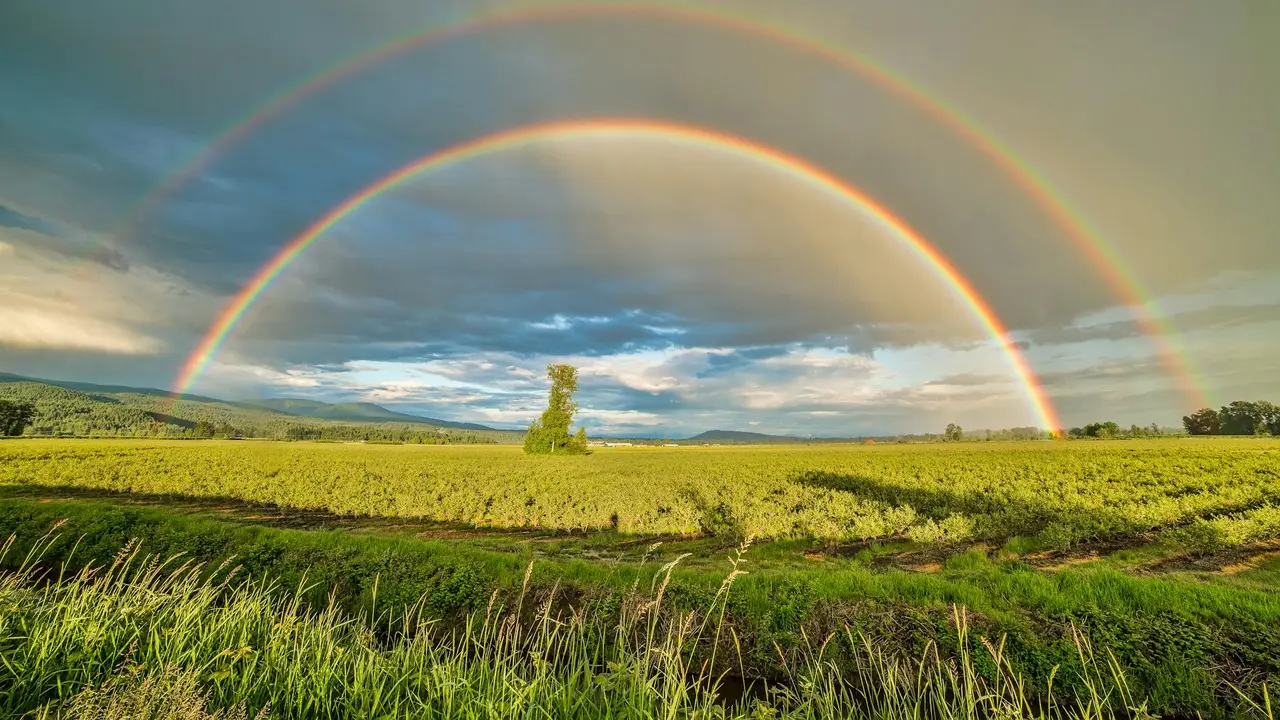 Rainbow