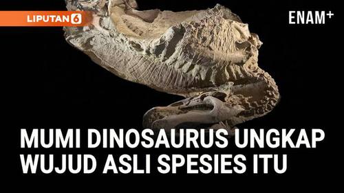 Peneliti di Amerika Serikat menemukan dua mumi dinosaurus yang masih menyimpan bekas kulit dan jaringan lunak. Penemuan langka ini membantu