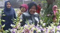 Wisata Kebun Anggrek di Eks Lokalisasi Surabaya