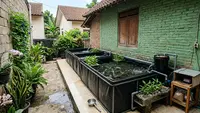 10 Cara Menempatkan Kolam Lele agar Tidak Mengganggu Tetangga, Cocok untuk Pekarangan Rumah
