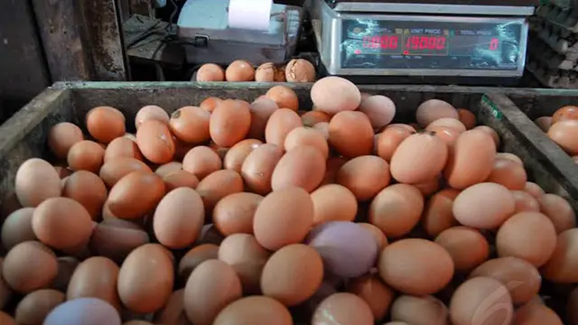 Harga Telur Melambung