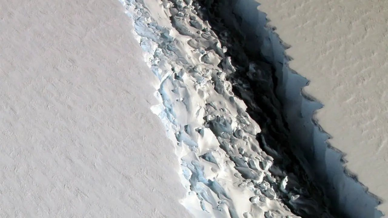 Larsen C (0)