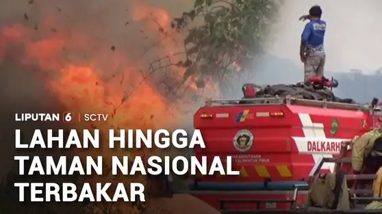 Kebakaran Hutan dan Lahan, Kalimantan dan Sumatra Masih Membara