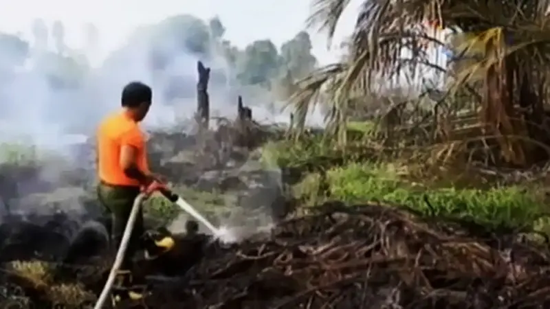 Kebakaran-Hutan-Riau