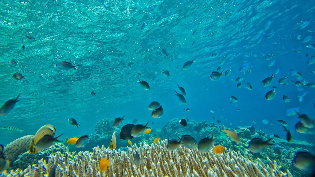 Wisata Batam Terpopuler