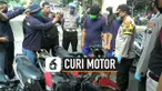 curi motor