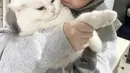 Sienna pun tampil menggemaskan dengan kucingnya, dalam potret tersebut, ia mengenakan kerudung abu-abu serasi dengan sweaternya.  Credit: (@nesyanabila)