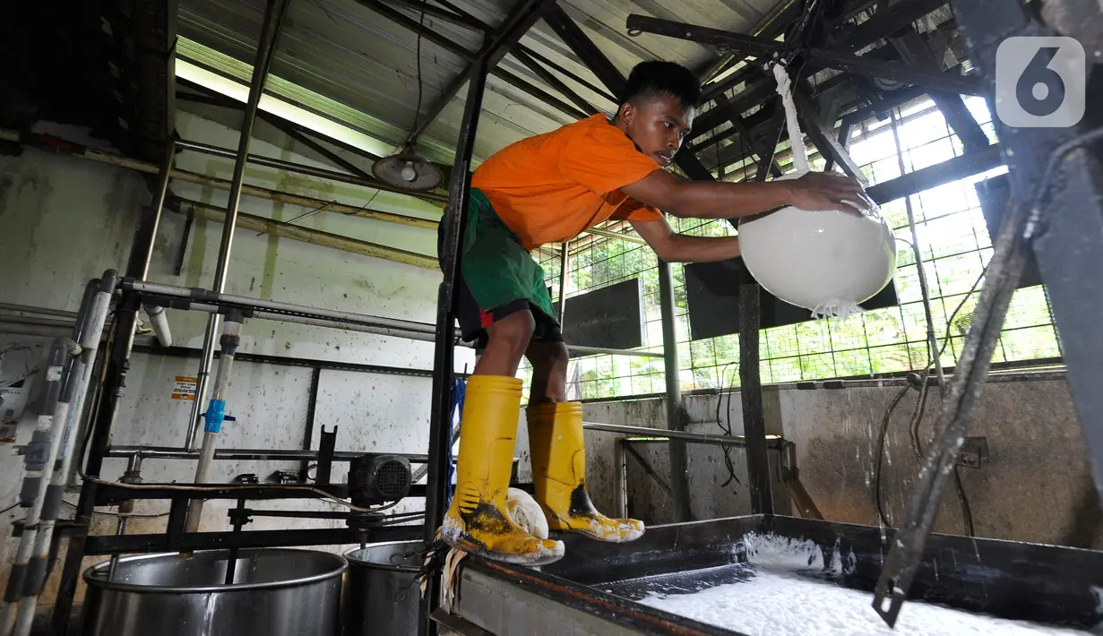 Pekerja menyelesaikan pembuatan tahu di Pabrik Tahu Krukut, Depok, Jawa Barat, Senin (31/10/2022). Kenaikan harga kedelai yang sekarang mencapai Rp 14 ribu/kg menyebabkan produksi tahu menurun dari 2,5 - 3 kwintal kedelai/hari kini hanya 2 kwintal/hari, sementara jumlah tenaga kerja pun harus dikurangi dari enam menjadi hanya lima orang. (merdeka.com/Arie Basuki)