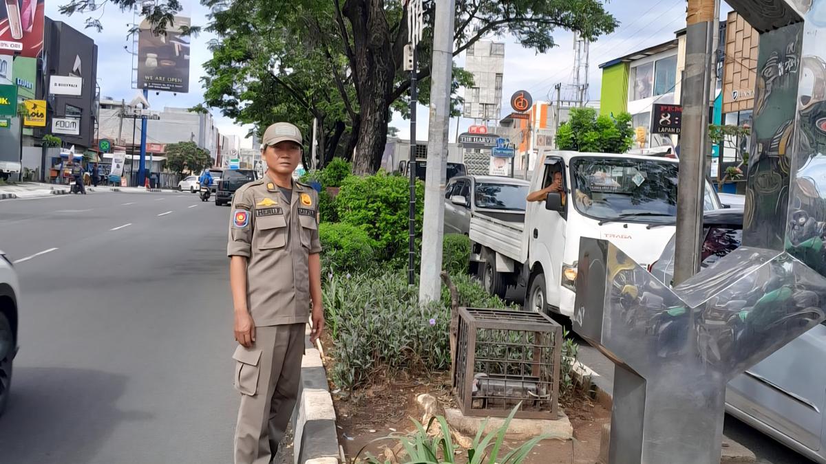 Satpol PP Depok Buru Pemilik Monyet Dirantai di Pinggir Jalan Margonda
