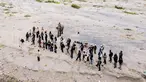 Relawan peduli lingkungan menanam pohon di Daerah Aliran Sungai (DAS) Peusangan, Negeri Antara, Bener Meriah, Aceh, Sabtu (18/7/2026). (AFP/ Chaideer Mahyuddin)