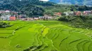 Foto dari udara yang diabadikan pada 29 Juni 2020 ini menunjukkan pemandangan sawah terasering di Xinmin, Kota Panzhou, Provinsi Guizhou, China barat daya. (Xinhua/Tao Liang)