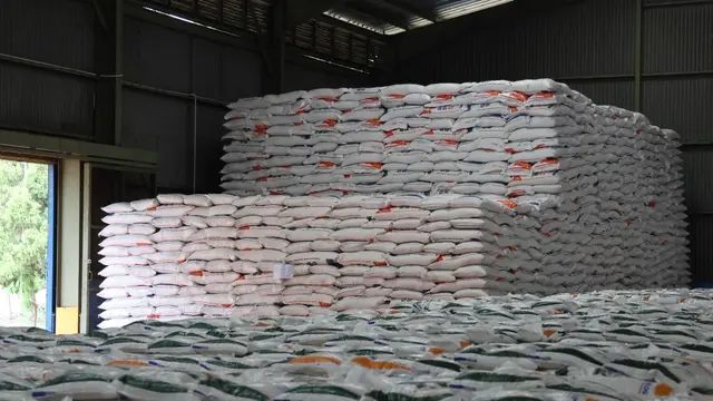 Swasta Kuasai 92% Stok Beras, Pemerintah Andalkan 4 Juta Ton untuk Intervensi