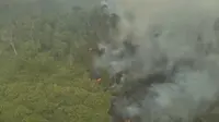 30 Hektare Api di Way Kambas Belum Padam