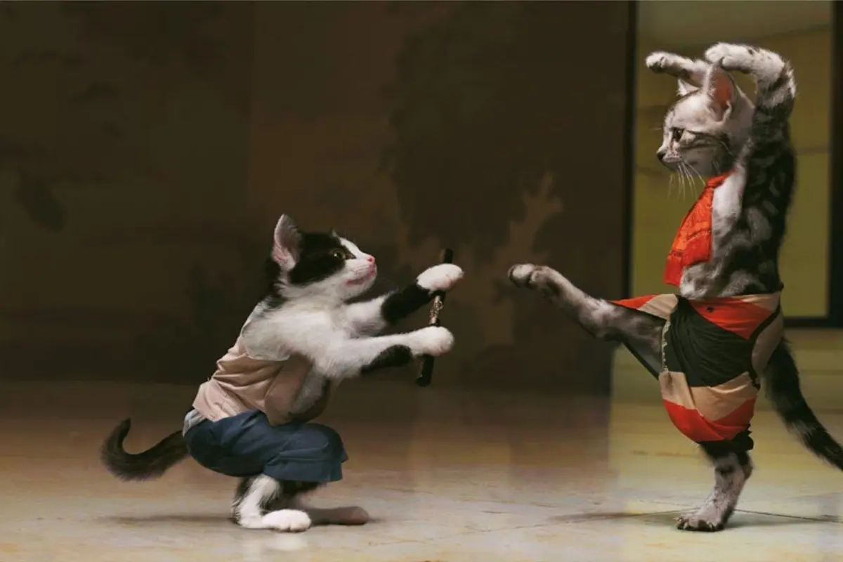 Bukan Cuma Manusia, Kucing Juga Bisa Joget ala Michael Jackson!