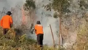 Hutan Lereng Gunung Lawu Kebakaran, Medan Sulit Jadi Kendala Pemadaman