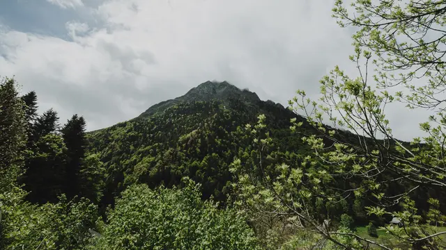 Ilustrasi gunung