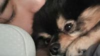 Yeontan dan V BTS. (Instagram/ thv)