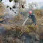 Petugas memadamkan kebakaran lahan di Jalan Riau ujung, Kecamatan Payung Sekaki, Pekanbaru. (Liputan6.com/M Syukur)