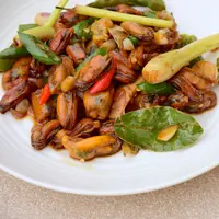 Ilustrasi/copyrightshutterstock/Amallia Eka