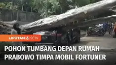 Sebuah pohon di dekat rumah Capres nomor urut 2, Prabowo Subianto, di Jalan Kertanegara, tumbang dan menimpa sebuah mobil Fortuner hingga ringsek. Pohon jenis beringin tumbang diduga akibat terpaan angin, ditambah usia pohon yang sudah tua.