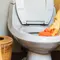 6 Alat Pembersih yang Bisa Merusak Toilet, Wajib Tahu
