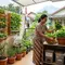 5 Tren Mini Food Garden 2026, Halaman Kecil Bisa Panen Sepanjang Tahun
