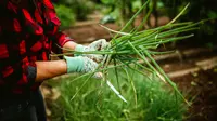 //www.pexels.com/photo/a-woman-in-gloves-holding-a-bunch-of-green-onions-27176775/)