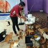 Bimbim memberi makan kucing-kucing disabilitas di Rumah Blendy untuk Kucing Disabilitas di kawasan Sawangan, Depok, Jawa Barat, Kamis (15/12/2021). Biaya pemeliharaan kucing disabilitas mencapai Rp 40 juta per bulan yang berasal dari subsidi silang usaha petshop. (merdeka.com/Arie Basuki)