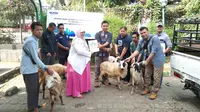 Penyaluran hewan kurban dari PT Antam Tbk dilaksanakan di lima wilayah di Indonesia.