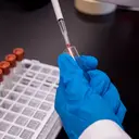 Indonesia Bangun Ekosistem Plasma Pertama, Apa Dampaknya bagi Kesehatan?
