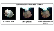 Anak Krakatau Meluas 32,8 Hektare Usai Erupsi, Muncul 2 Daratan Baru