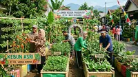 7 Ide Lomba Kebun Produktif Antar RT yang Kreatif dan Bikin Lingkungan Makin Asri
